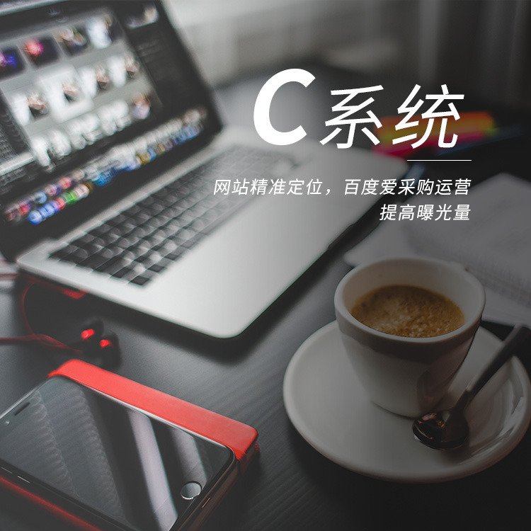 C系統 C系統